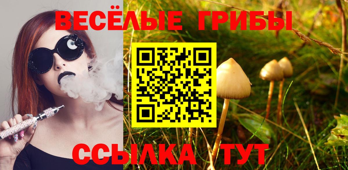 Галлюциногенные грибы MAGIC MUSHROOMS Солнечногорск