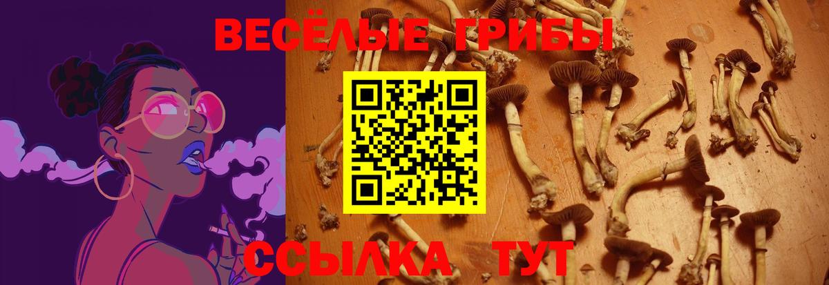 Солнечногорск  Галлюциногенные грибы Psilocybe  Вход с VPN 